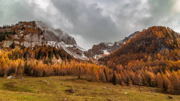 Octubre Trekking Las Montañas Forni Sopra Friuli Venecia Julia —  Fotos de Stock