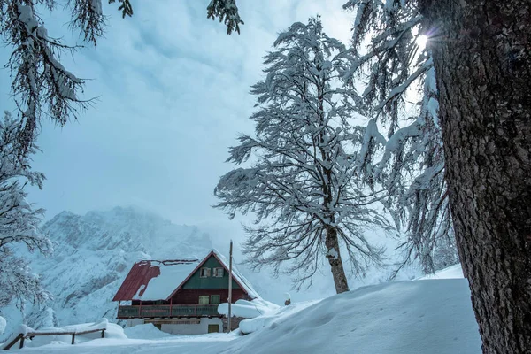 Julian Alps Depois Uma Grande Queda Neve Província Udine Região — Fotografia de Stock