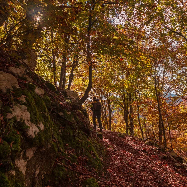 Oktoberdag Bergen Van Val Resia Friuli Venezia Giulia — Stockfoto