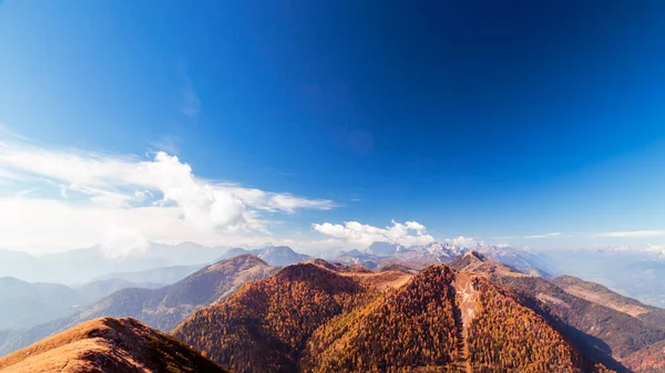 Automne Avec Feuillage Dans Les Alpes Frioul Vénétie Julienne — Photo