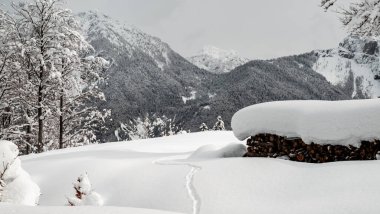 Julian büyük bir kar yağışından sonra Alp yapar. Udine ili, Friuli-Venezia Giulia bölgesi, İtalya