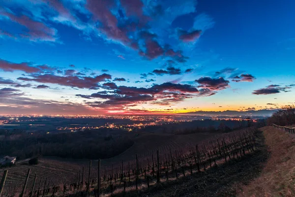 Pôr Sol Inverno Vinha Savorgnano Friuli Venezia Giulia Itália — Fotografia de Stock