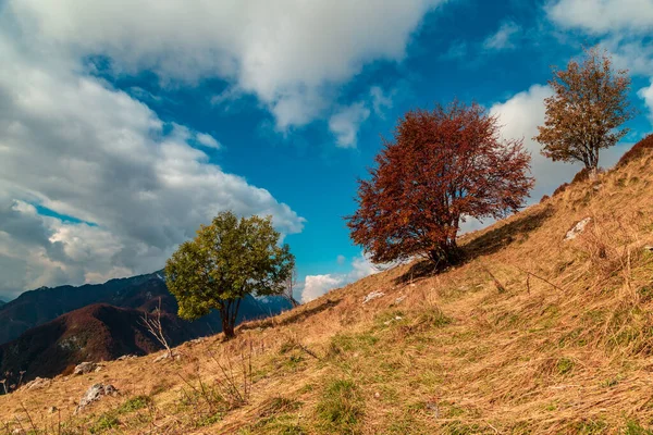 Día Octubre Las Montañas Val Resia Friuli Venecia Julia —  Fotos de Stock