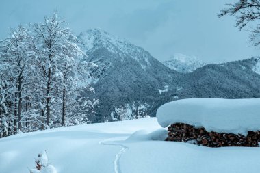 Julian büyük bir kar yağışından sonra Alp yapar. Udine ili, Friuli-Venezia Giulia bölgesi, İtalya
