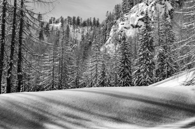 İtalyan Alplerinde Tarvisio 'nun zirveleri