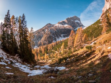 Ekim ayında Val Pesarina, Friuli-Venezia Giulia dağlarında yürüyüş.