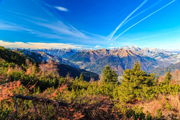 五彩缤纷的秋天 狂欢作乐的阿尔卑斯山里阳光灿烂的一天 — 图库照片