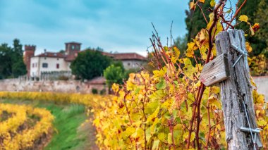 Güneş Friuli Venezia-Giulia üzüm bağlarından batıyor.