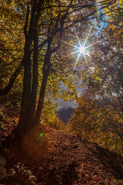 Dia Outubro Nas Montanhas Val Resia Friuli Venezia Giulia — Fotografia de Stock