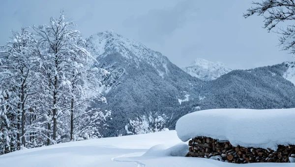 Julian Alps Depois Uma Grande Queda Neve Província Udine Região — Fotografia de Stock