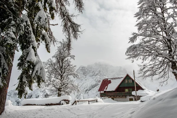 Julian Alps Depois Uma Grande Queda Neve Província Udine Região — Fotografia de Stock