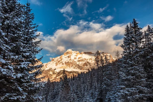 太陽は雪の多い冬にイタリアの高山の谷を下る — ストック写真