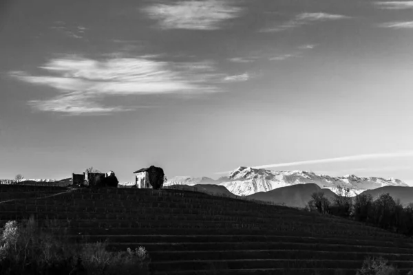 Soleil Couche Dans Les Vignes Frioul Vénétie Julienne — Photo