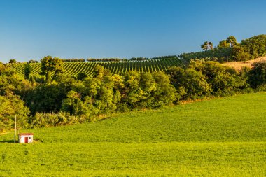 Numana köyünden Marş 'ın tarlalarında gün doğumu