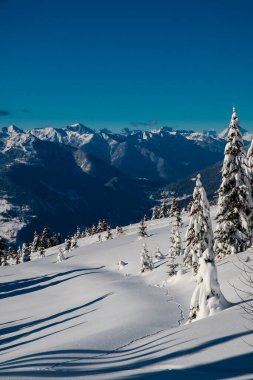 Büyük bir kar yağışı sonrası alaycı alpler. Udine ili, Friuli-Venezia Giulia bölgesi, İtalya