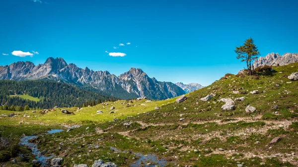 Μάιος Ηλιόλουστη Μέρα Στις Άλπεις Της Friuli Venezia Giulia Ιταλία — Φωτογραφία Αρχείου