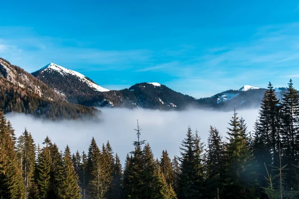 Julian Alps Big Snowfall Udine Province Friuli Venezia Giulia Region — Stock Photo, Image