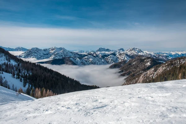 Julian Alper Efter Ett Stort Snöfall Udine Provinsen Regionen Friuli — Stockfoto