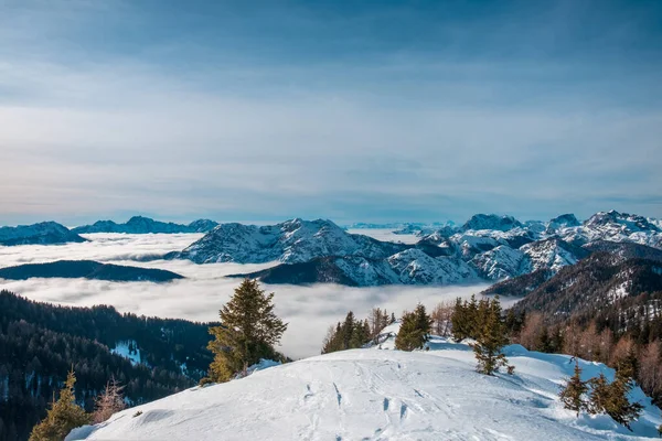 大雪过后朱利安爬上了阿尔卑斯山 乌迪恩省 弗留利 基里亚朱利亚地区 意大利 — 图库照片