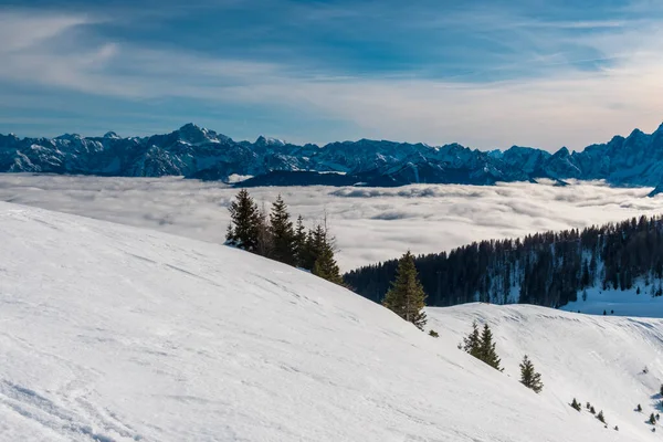 Julian Alpes Après Une Grosse Chute Neige Province Udine Région — Photo