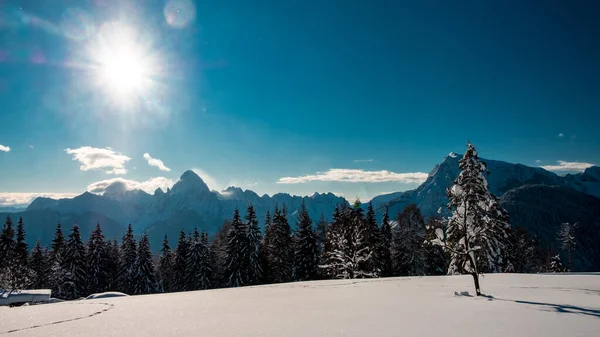 Alpes Carniques Après Une Grosse Chute Neige Province Udine Région — Photo