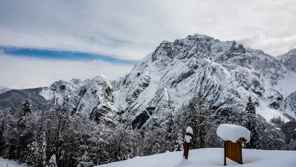 雪が積もると雪が積もってしまいます ウディネ州 フリウリ ヴェネツィア ジュリア州 イタリア — ストック写真