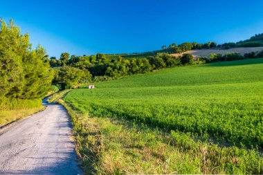 Numana köyünden Marş 'ın tarlalarında gün doğumu