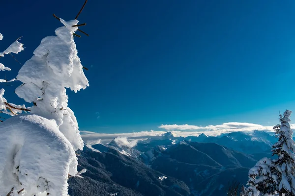 Alpes Cárnicos Depois Uma Grande Queda Neve Província Udine Região — Fotografia de Stock