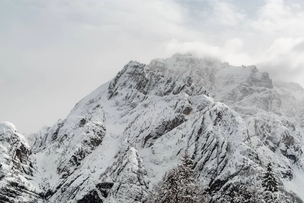 Julian Alps Obfitych Opadach Śniegu Prowincja Udine Region Friuli Wenecja — Zdjęcie stockowe