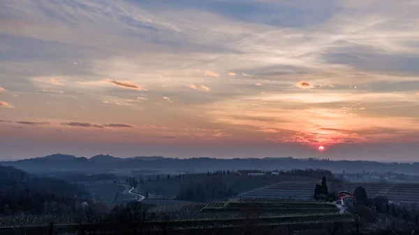 Sol Põe Nas Vinhas Friuli Venezia Giulia — Fotografia de Stock