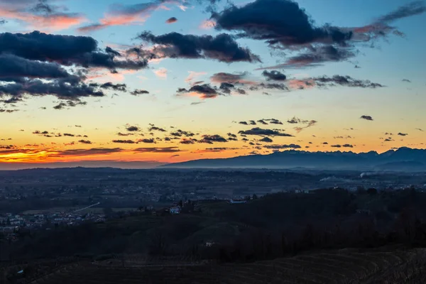 Zimní Západ Slunce Vinici Savorgnano Friuli Venezia Giulia Itálie — Stock fotografie