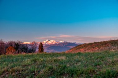Güneş Friuli Venezia-Giulia üzüm bağlarından batıyor.