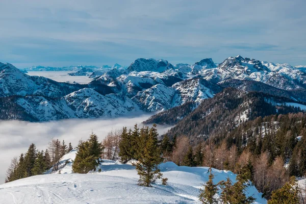 Julian Alper Efter Ett Stort Snöfall Udine Provinsen Regionen Friuli — Stockfoto