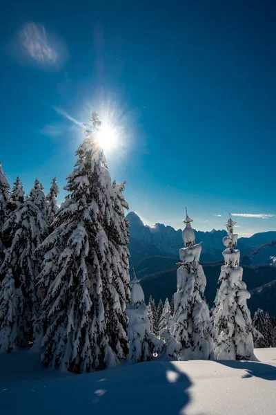 Alpes Cárnicos Depois Uma Grande Queda Neve Província Udine Região — Fotografia de Stock