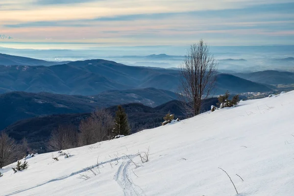 Top Mount Matajur Beautiful Ski Experience Udine Province Friuli Venezia — Stock Photo, Image