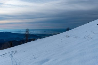 Matajur Dağı 'nın tepesinde güzel bir kayak deneyimi için. Udine ili, Friuli-Venezia Giulia bölgesi, İtalya