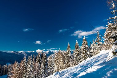 Büyük bir kar yağışı sonrası alaycı alpler. Udine ili, Friuli-Venezia Giulia bölgesi, İtalya