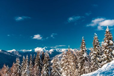 Büyük bir kar yağışı sonrası alaycı alpler. Udine ili, Friuli-Venezia Giulia bölgesi, İtalya