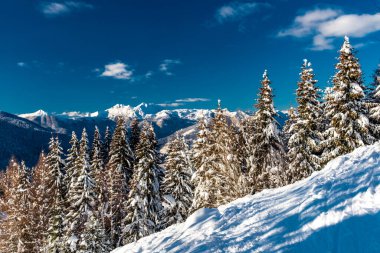Büyük bir kar yağışı sonrası alaycı alpler. Udine ili, Friuli-Venezia Giulia bölgesi, İtalya