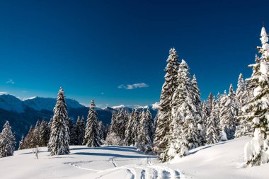 Büyük bir kar yağışı sonrası alaycı alpler. Udine ili, Friuli-Venezia Giulia bölgesi, İtalya