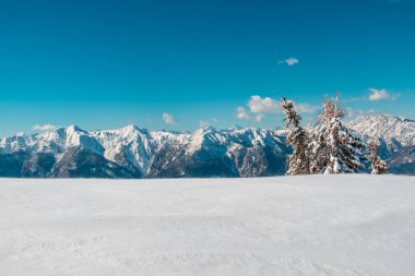 Zoncolan Dağı 'nda, büyük bir kar yağışı sonrası Carnic Alpleri. Udine ili, Friuli-Venezia Giulia bölgesi, İtalya