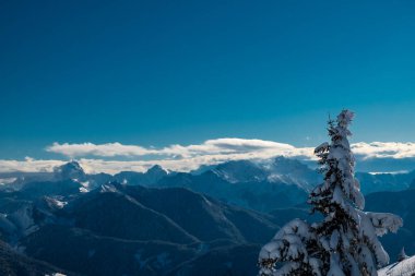 Büyük bir kar yağışı sonrası alaycı alpler. Udine ili, Friuli-Venezia Giulia bölgesi, İtalya