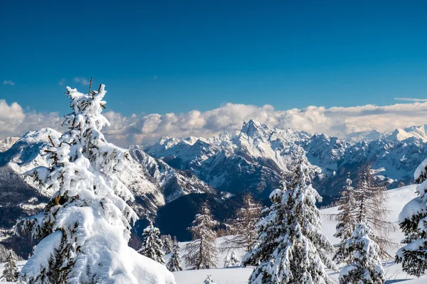 Mount Zoncolan Karniska Alperna Efter Ett Stort Snöfall Udine Provinsen — Stockfoto