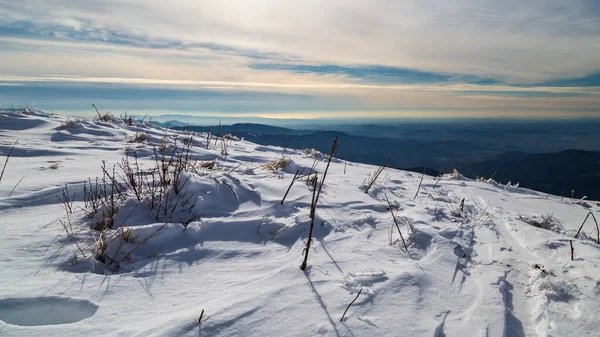 Berget Matajur Italien Solig Vinterdag — Stockfoto