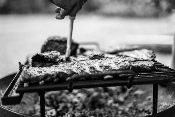 Verano Mejor Época Del Año Para Hacer Asado —  Fotos de Stock