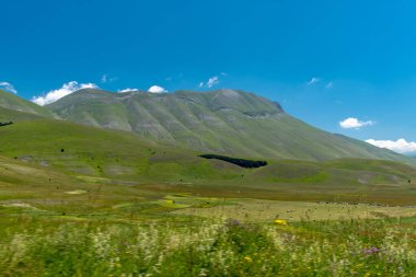 Castelluccio di Norcia 'daki çiçeklerle dolu mercan tarlalarının renkleri