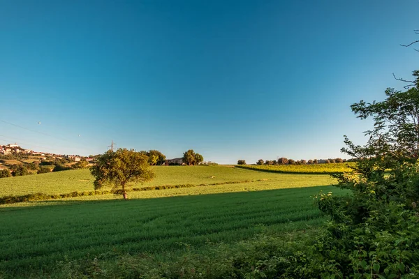 Salida Del Sol Los Campos Marche Desde Pueblo Numana — Foto de Stock