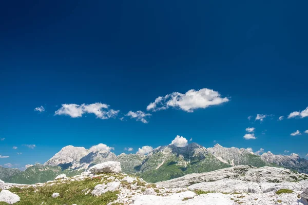 Belo Dia Verão Plano Canin Julian Alps Friuli Venezia Giulia — Fotografia de Stock