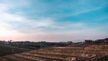 Güneş Friuli Venezia-Giulia üzüm bağlarından batıyor.