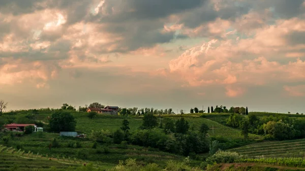 Słońce Zachodzi Winnicach Friuli Wenecja Julijska Włochy — Zdjęcie stockowe